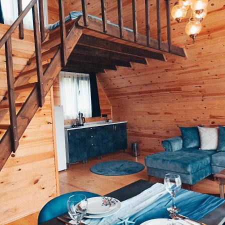 Cinarhan Villas Ağva Kültér fotó